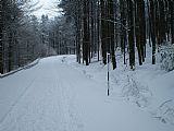 Zasněžená silnice na vrchol Čerchova.