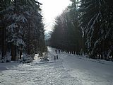 Turistická cesta na tisícovky Čerchov a Skalka slouží v zimě jako lyžařská běžecká trasa.