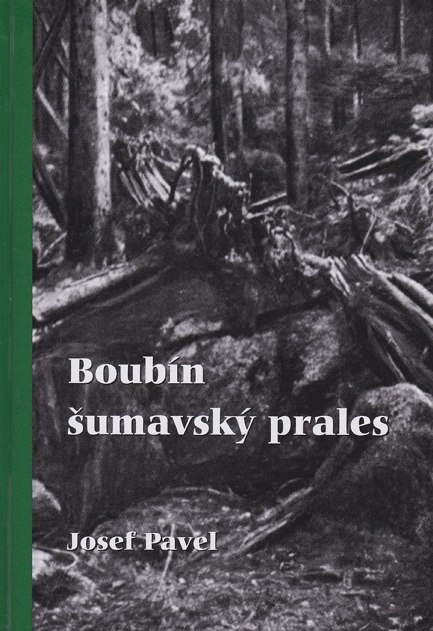 Boubín šumavský prales (Josef Pavel)