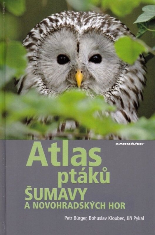 Antikvariát - Atlas ptáků Šumavy a Novohradských hor (Petr Bürger, Bohuslav Kloubec, Jiří Pykal)