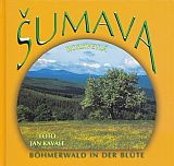 Šumava rozkvetlá.