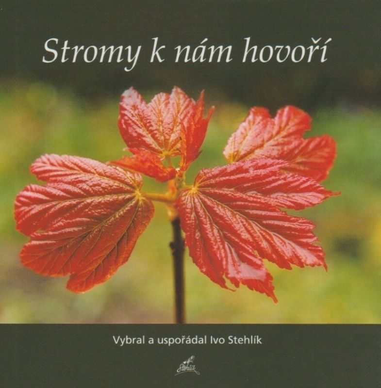 Stromy k nám hovoří (Ivo Stehlík)