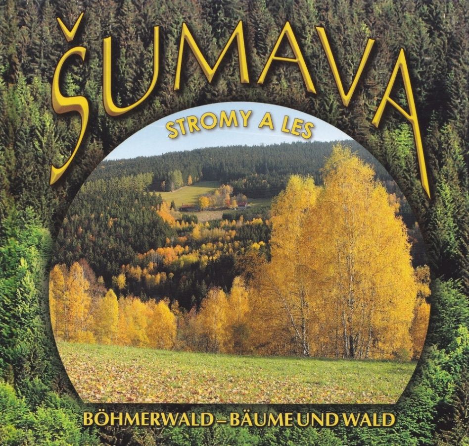 Šumava - stromy a les (Jan Kavale)