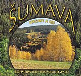 Šumava - stromy a les.