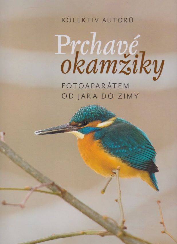 Prchavé okamžiky fotoaparátem od jara do zimy (kolektiv autorů)