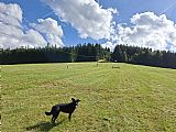 Český Luzný (719 m) se nalézá v Hanušovické vrchovině, nedaleko tisícovky Jeřáb.