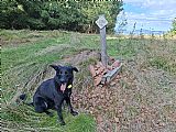 Při putování po Stezce Via Czechia jsem objevil v Hanušovické vrchovině nedaleko tisícovky Jeřáb "jmenovce" mého oblíbeného šumavského (bavorského) kopce: Luzný (719 m). Nemohl jsem odolat a trochu si nezajít z trasy. Pravda, nejde o jmenovce tak uplně fo