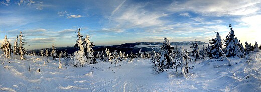 Panoramatický pohled na částečně zakrytou Medvědskou hornatinu, Pradědský hřbet, Kamzičnickou a Desenskou hornatinu z úbočí Červené hory.