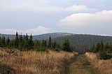 Jelení hřbet přes Jelenku z úbočí Ostružné. Na úbočí Jeleního hřbetu patrna útulna Jelení studánka.