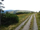 Jelení hřbet z cesty na úbočí Velkého Máje, vlevo skály na vrcholu Pecny, na obzoru vystupuje Břidličná hora.
