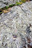Geodetický bod ("hřeb") na jedné z vrcholových skal na Lyře.