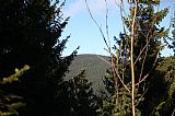 Výhledy z Malého Máje jsou minimální - z vrcholu lze pouze úzkou šterbinou v lese takto zahlédnou Temnou.