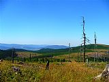 Pohled z Medvědího vrchu na Jeseník. Vpravo Orlík, uprostřed Medvědí louka.