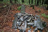 Historický mezní kámen z roku 1740 pod Ztracenými skalami na přístupové (zelené) cestě od motorestu Na Skřítku na horu Pecny. Ztracené skály jsou spočinkem Pecného.