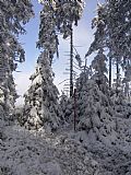 Ucháč - geodetický bod poblíž SV vrcholu.