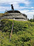 Pod jednou z vrcholových skal tisícovky Žalostná ležela triangulační tyč, opřel jsem ji o skálu s ocelovým terčíkem.
