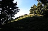 Vrcholová partie tisícovky Zámčisko - S vrchol je nezalesněná kamenitá "kupa"..