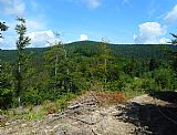 Malý Javorník z vyvýšeniny nad sedlem Adamkov (Slovensko).