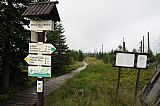 Sedlo Holubníku je asi 150 m VVJ od vrcholu Bílé smrti, je na křižovatce zelené a červené značky.