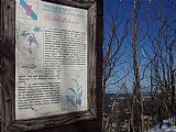 Panel naučné stezky na vrcholu Bukovce.