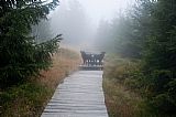 Výstup na Černou horu po dřevěném chodníku.