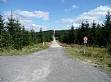 Tzv. Hraniční cesta směřující přes SZ úbočí Černého vrchu v místě odbočky ze Soušské silnice.