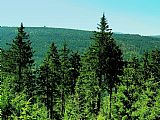 Dvě vrcholová skaliska tisícovky Jizera spolu se Zeleným kamenem, který se tyčí nad Šindelovým dolem, připomínají pozoruhodné zříceniny Českého ráje.