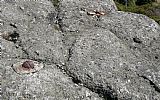 Geodetický bod na vrcholu Smědavské hory. Nahoře je patrné betonové lože přerezlé geodetické tyče.