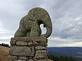 Kousek pod vrcholem Králického Sněžníku (jeho "symbol") slůně.