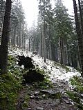 17. září na úbočí Králického Sněžníku sníh ležel od výšky 990 m.