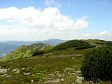 Spočinek Luční hory zvaný Krkonoš (1442 m) ze Staré Bucharovy cesty vytváří plochý začátek Kozích hřbetů. Za nimi Železný vrch, světlé budovy na Medvědíně a nad ním Krakonoš se Zlatým návrším, Vrbatovým návrším, Harrachovými kameny a osvětleným Kotlem. Vl