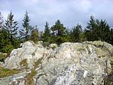 Mohutný skalní blok na vrcholu Janovy skály je téměř bez výhledu.