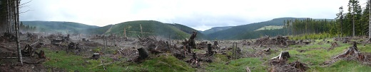 Výhled z jižního okraje vrcholové plošina Haidy (999 m): zleva Lysečinská hora, vpředu Kraví hora, vzadu Pěnkavčí vrch a vpravo Jelení hora.  Haida (někdy též označovaná jako Heida či Vřesový vrch) se dle některých pramenů ucházela o zařazení mezi tisícim