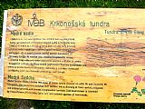 Informační tabule KRNAPu o specifikách přírody v Modrém sedle mezi Luční horou a Studniční horou poblíž Památníku obětem hor.