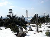 Větrné polomy (Kyril 2007) odhalují širší výhledy - v pozadí za polomem Sněžka, po stranách jsou tušeny vlevo Studniční hora a vpravo Svorová hora.