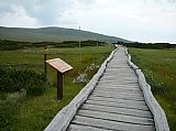 Schustlerova cesta na S úpatí Studniční hory (vlevo mimo záběr) je z části vedena na povalových chodnících. Vpředu Luční hora.