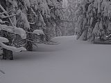 Vrchol Světlé s téměř zapadanou tyčí geodetického bodu.