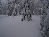 Vrchol Světlé byl v první polovině ledna pokryt více jak 1,5 m silnou vrstvou sněhu.