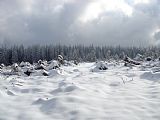 Na Vřesovém vrchu - sporném (tisícimetrovém?) vrcholu jižně od Tabule.