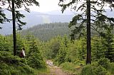 Vlašský vrch (v popředí, nízký) při pohledu z J, ze žlutě značené Hubertovy cesty.