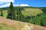 Zadní Planina. Vrchol je převážně porostlý kosodřevinou, místy jsou zde suťoviska.