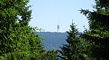 Pohled z Božídarského Špičáku na radiokomunikační věž na Klínovci.