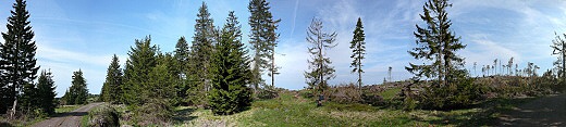 Tisícovka Nad Rýžovnou je v důsledku těžby dřeva i polomů již téměř zcela odlesněná. Vrchol v pohledu od jihu se nachází v pravé části snímku.