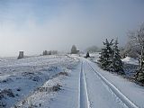 Cesta vedoucí po hřebínku tisícovky Nad Rýžovnou - JZ vrchol. Nejvyšší místo uprostřed snímku.