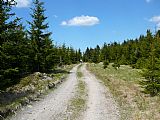 Cesta se zelenou turistickou značkou západně od nejvyššího bodu Perninského vrchu.
