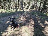 Geodetický bod ve vrcholové partii Čertova mlýna