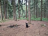 Na JV hřbetnici Lysé hory je (nedaleko od ČTZ) spočinek Zimný 1 080 m, který by možná mohl býti tisicovkou (VV Lysé hory)