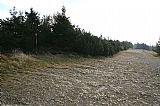 Geodetický bod na plochém Radegastu - Z vrcholu II je těsně vedle široké kamenné hřebenové cesty.