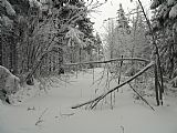 Tanečnice - zajišťovací geogetický bod s kótou 1078,8 m. Nachází se u pěšiny, vedoucí na vrchol ze severu.