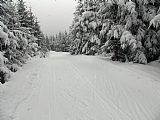 Vrchol Zmrzlého vrchu. Upravovaná zimní trasa končí v sedle k Nořičí hoře, cca 400 m severněji.